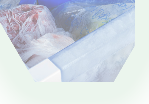Category: Freezers Rental